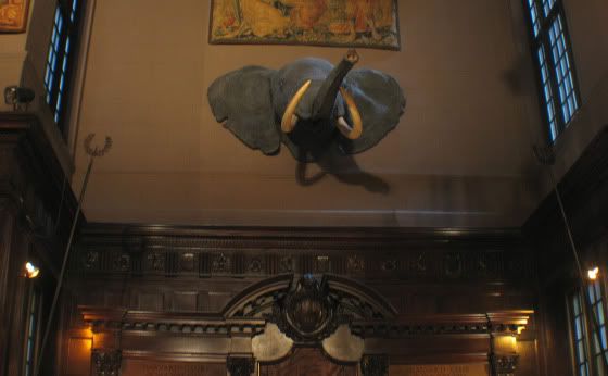 The elephant in the Harvard Club of New York City